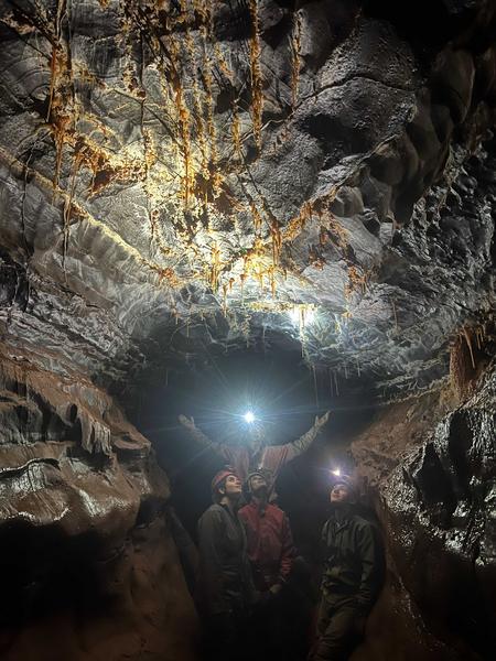 Thumbnail of photo from this article